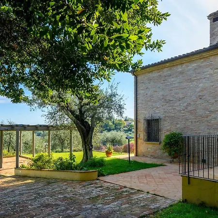 Emilianna 12&2 By Marche