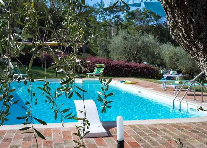 Emilianna 12&2 By Marche